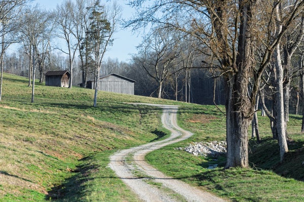 4648 LOVE BRANCH RD, HAMPSHIRE, TN 38461 - Image c9fbf5532ae140afc2accdc73b290acd/2236079451