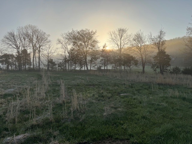 127 Rushing Springs Rd