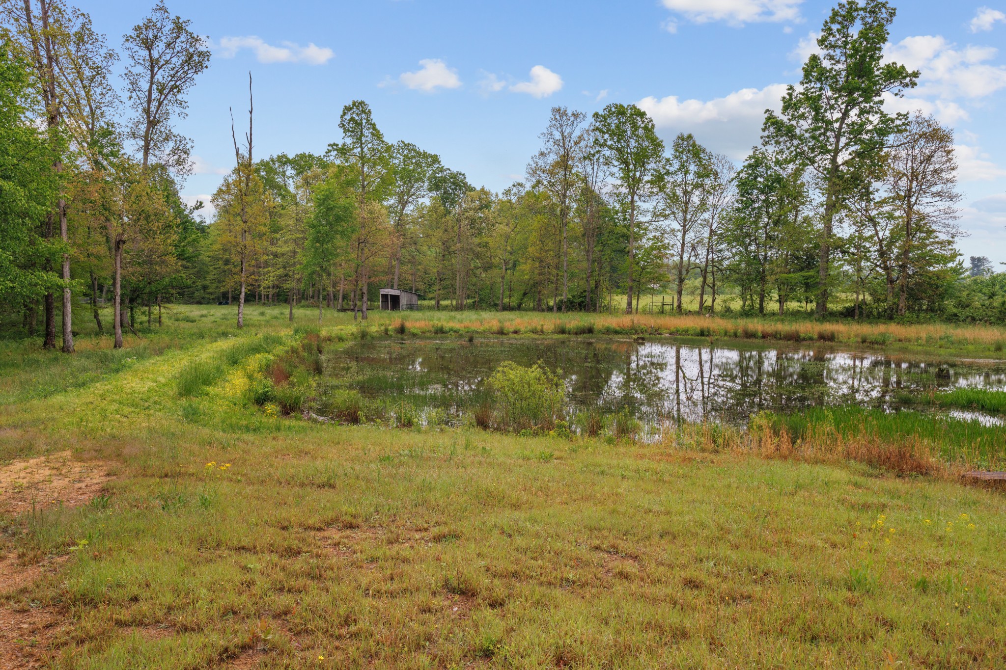 494 Lovejoy Rd