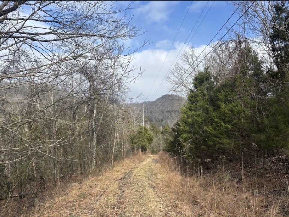 0 Lick Creek Rd