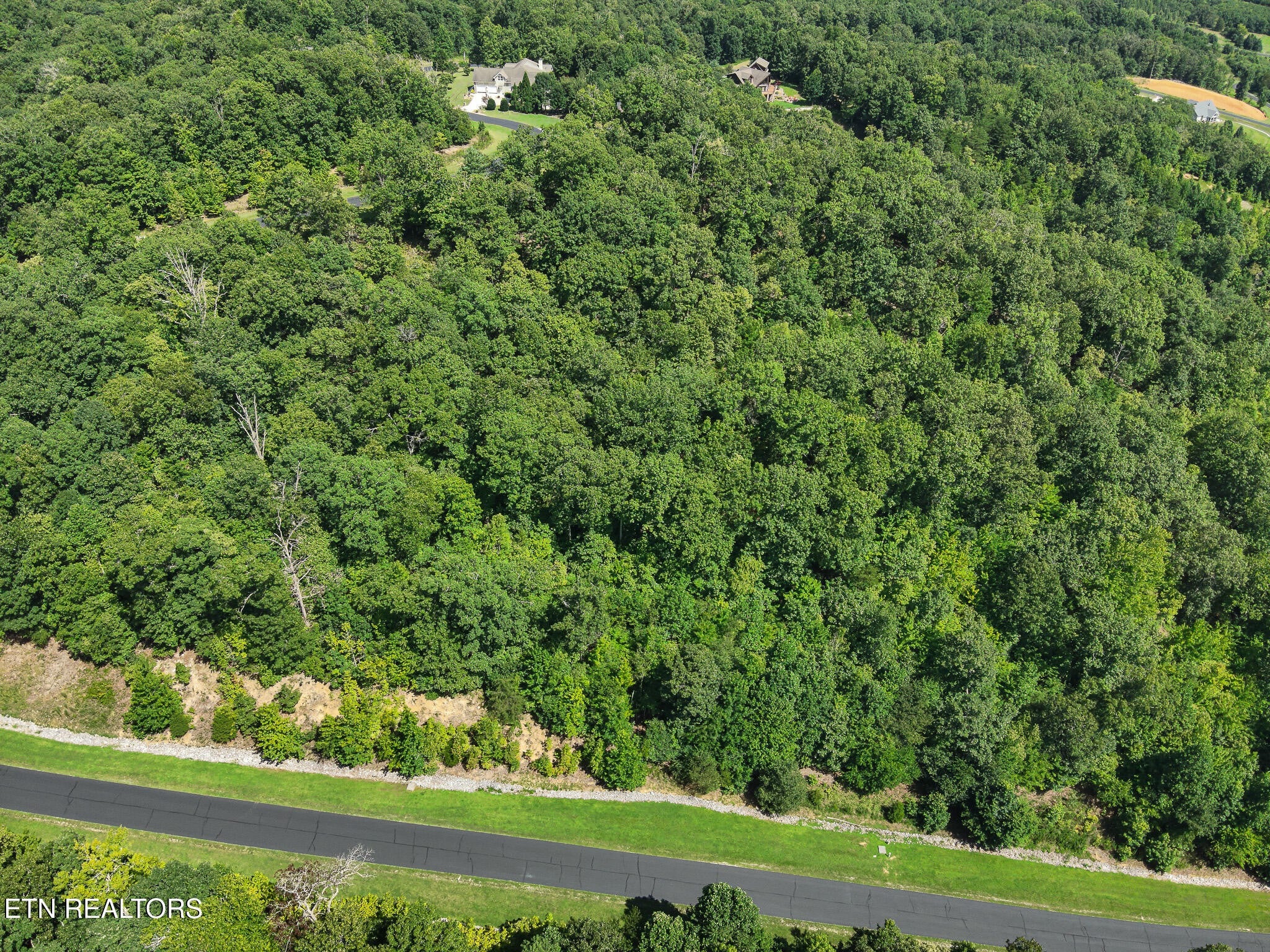 393 W Mountain Drive