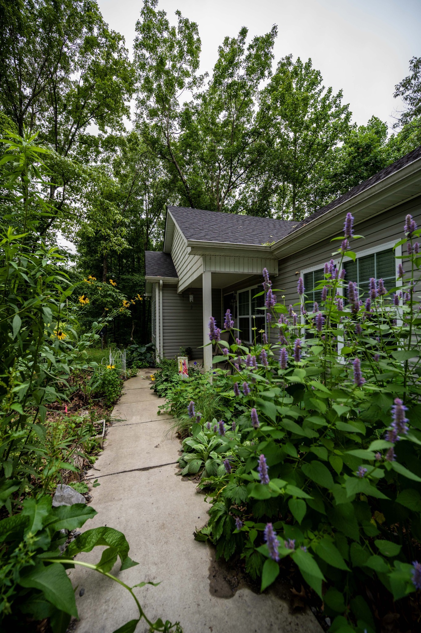 675 Hog Back Ridge Rd