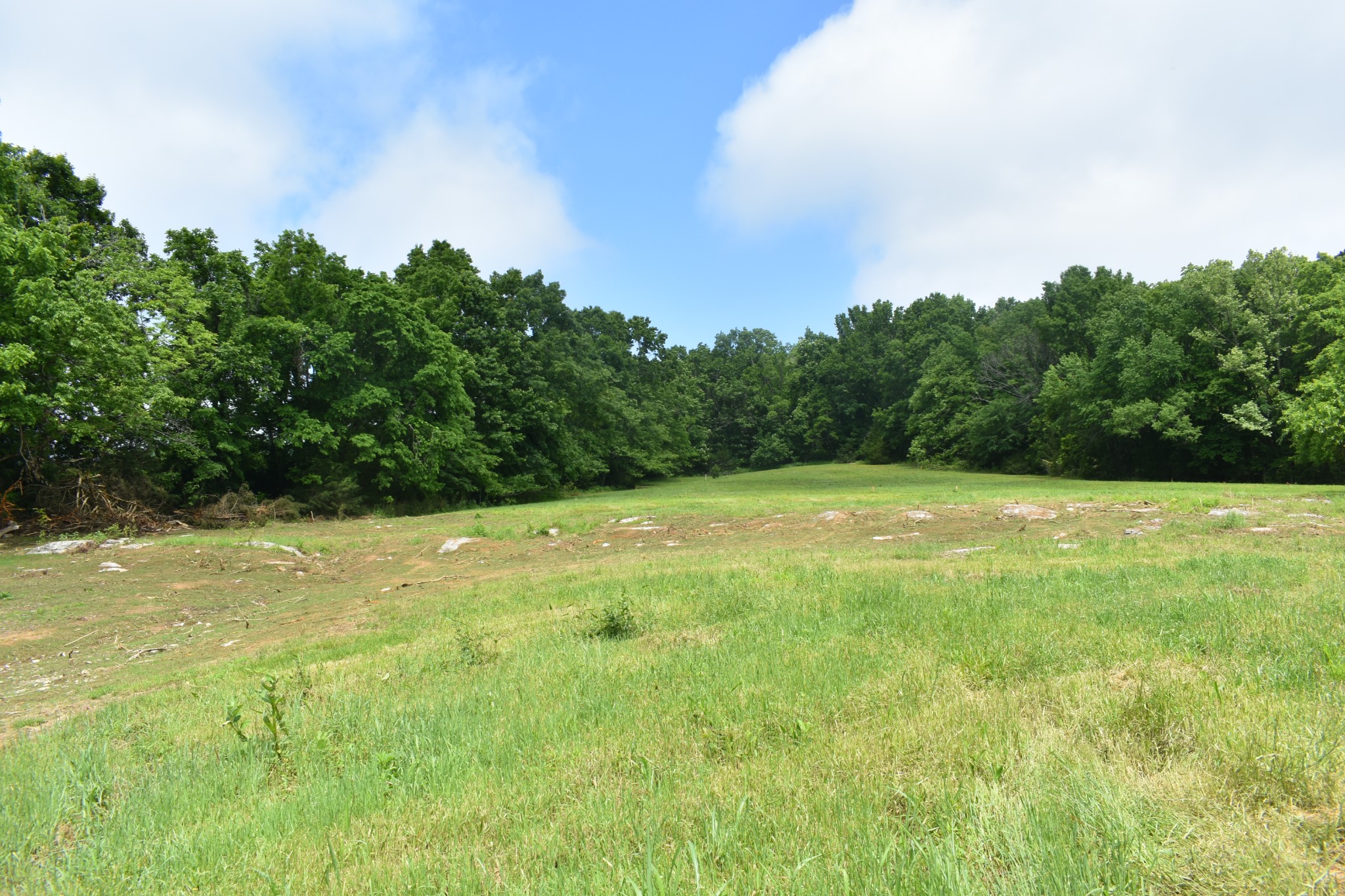 0 Hogans Creek Rd