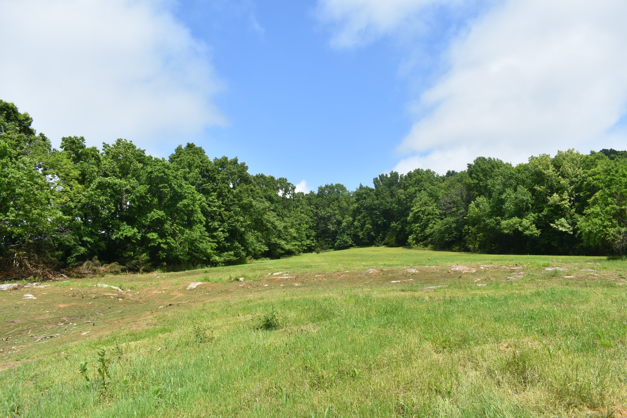 0 Hogans Creek Rd