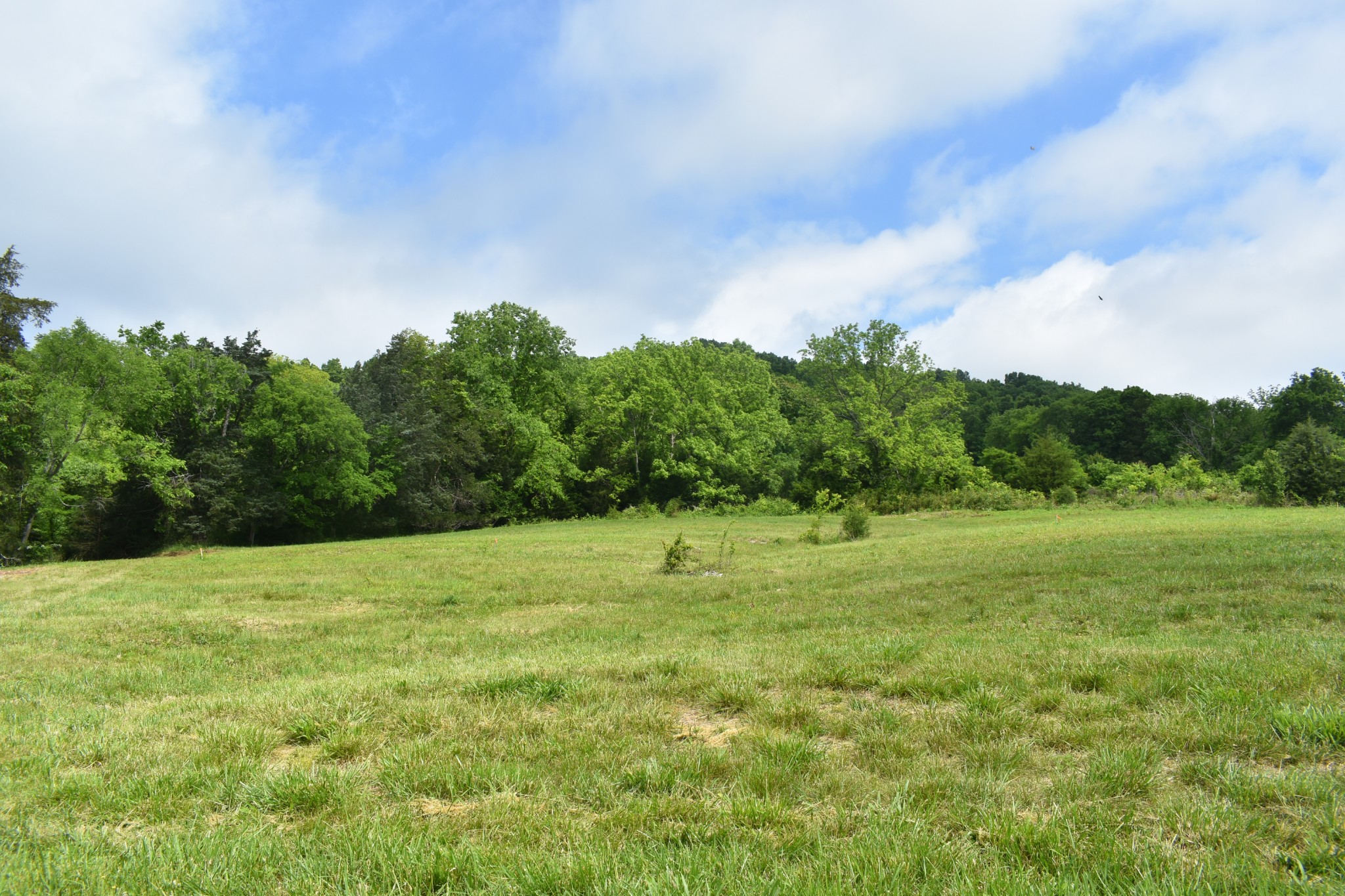 0 Hogans Creek Rd