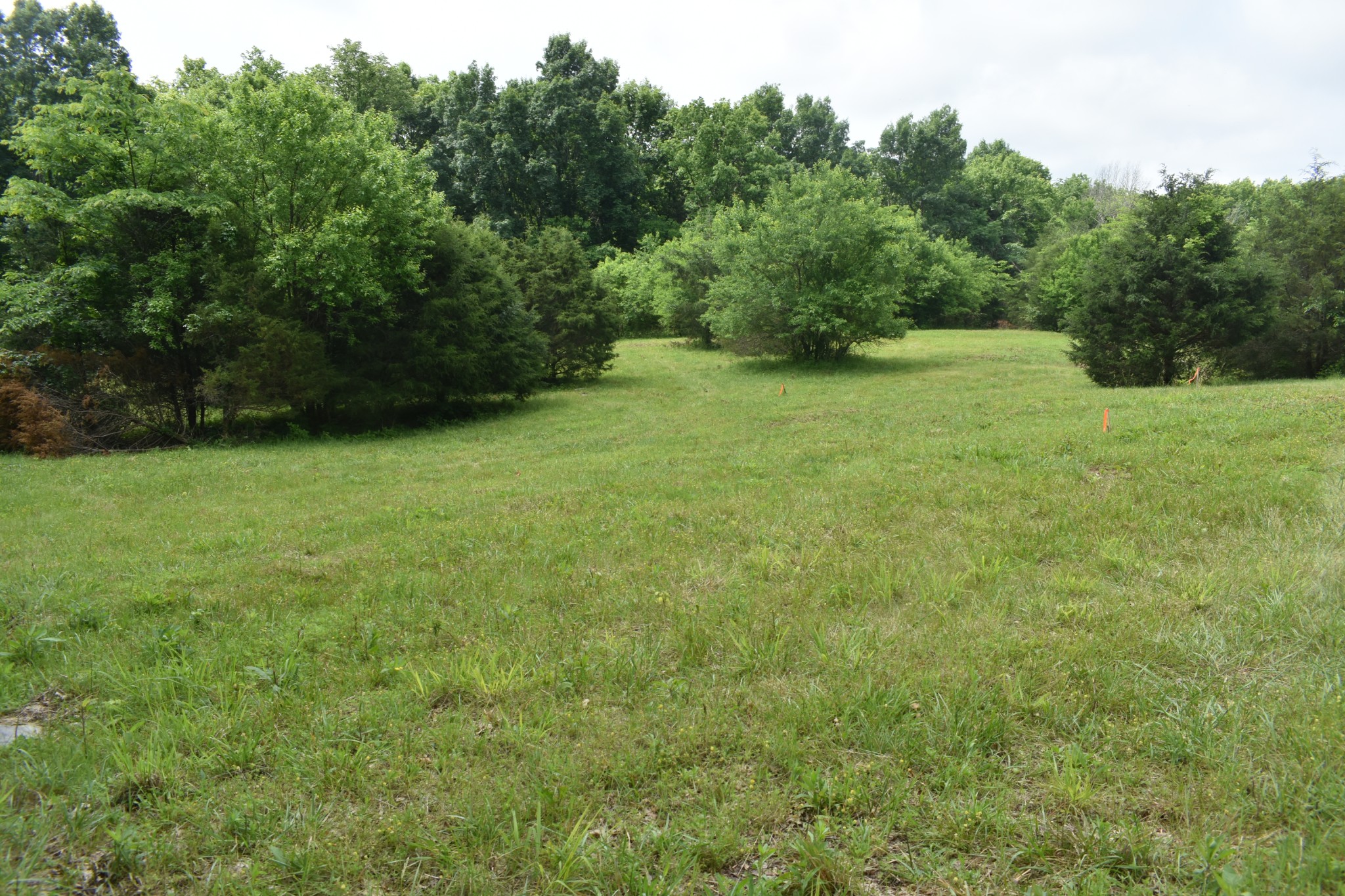 0 Hogans Creek Rd