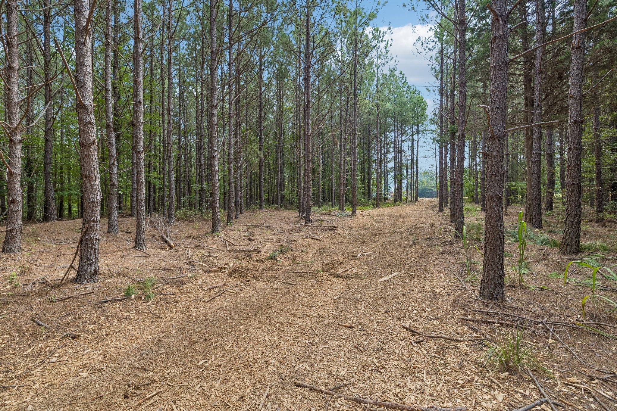 0 Falls Branch Road