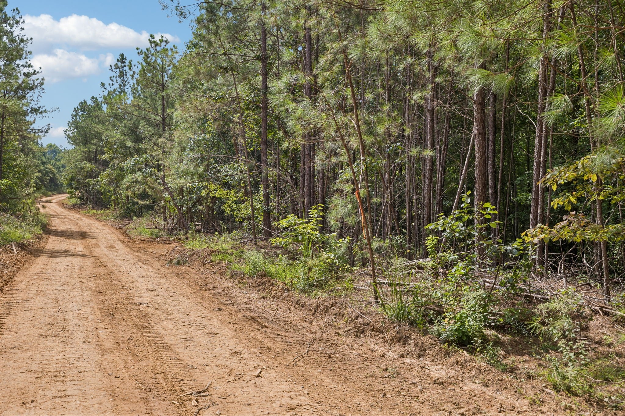 0 Falls Branch Road