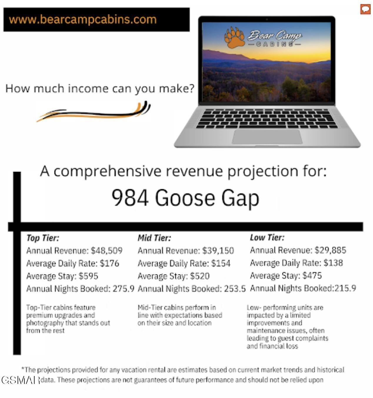 984 Goose Gap Road 3