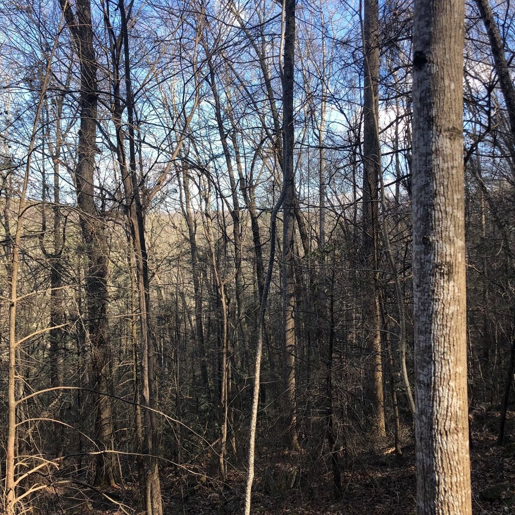 450 Holder Cemetery Road