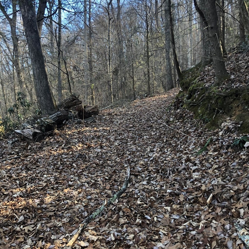 450 Holder Cemetery Road