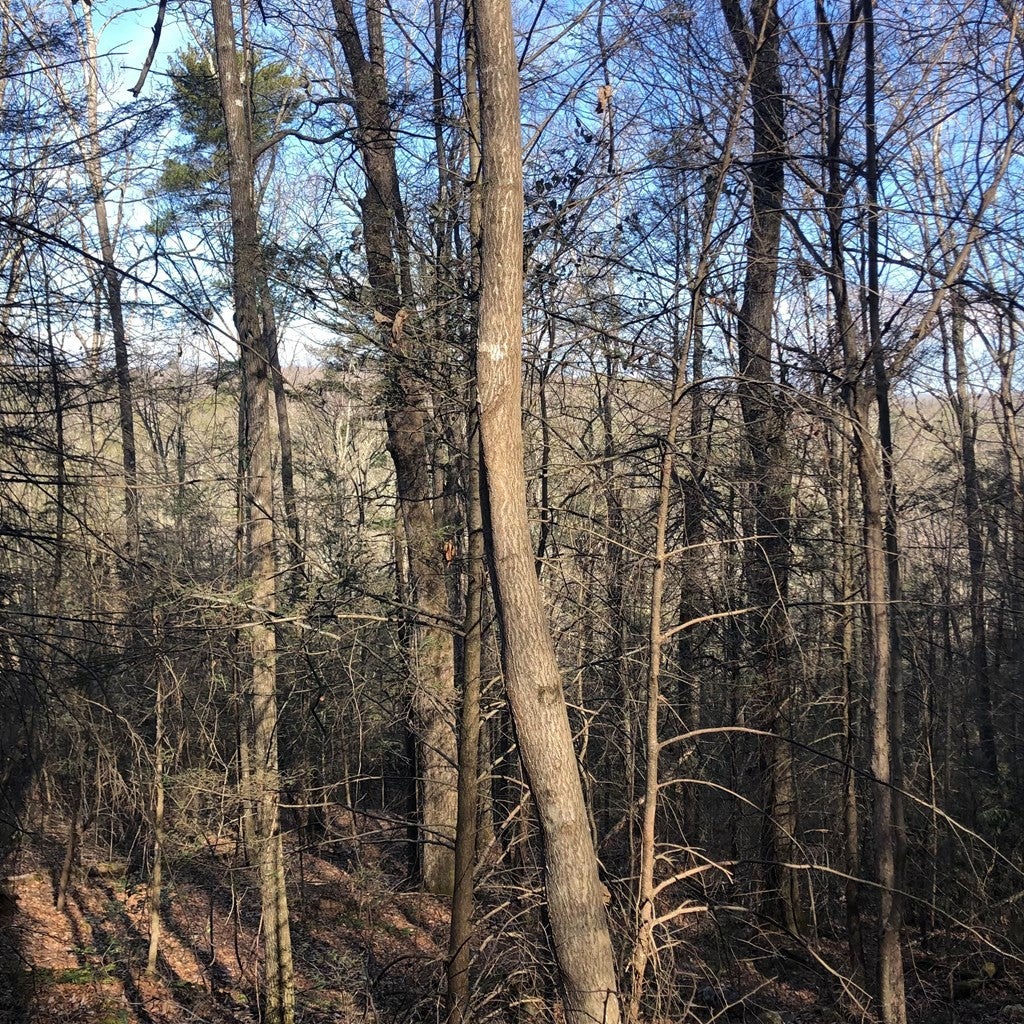 450 Holder Cemetery Road