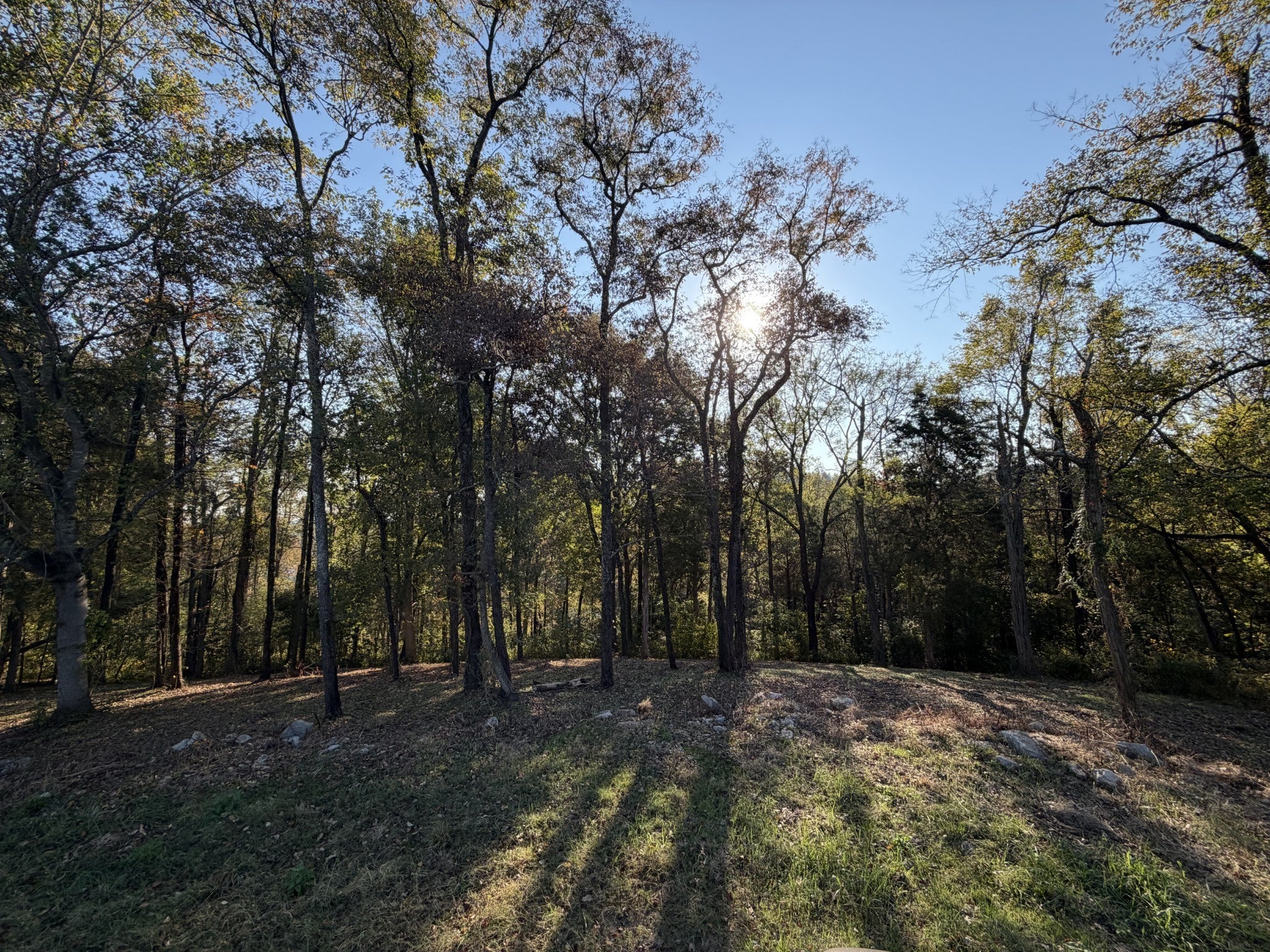 7025 Cairo Bend Rd
