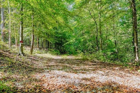 0 Bolestown Loop Lot 1 Alpine TN 38543