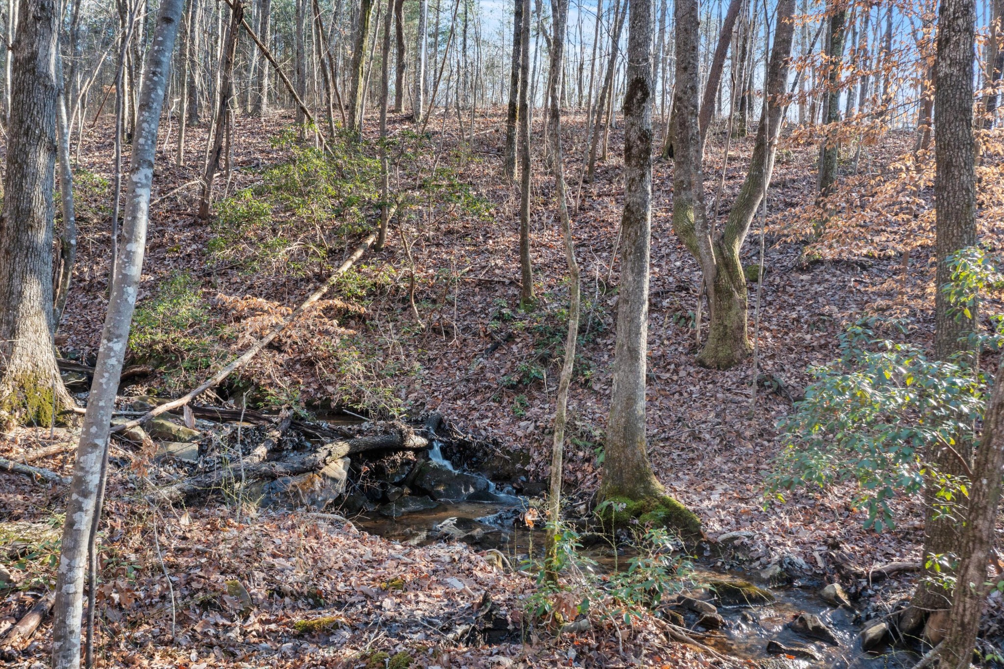 0 Cherokee Path