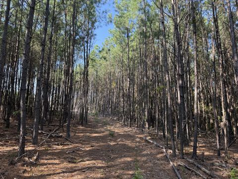 Photo of 3415 Waynesboro Hwy, Hohenwald, TN 38462 (MLS # 2994852)