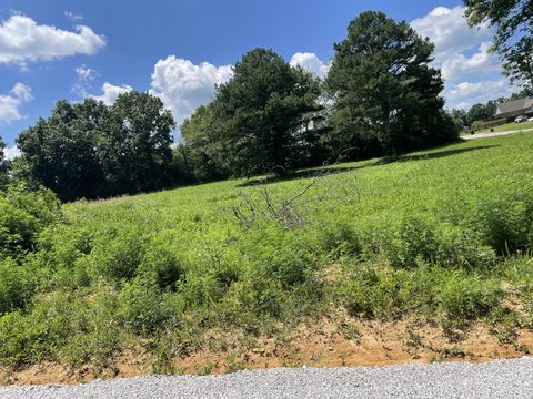 0 Hidden Hills Lane Summertown TN 38483