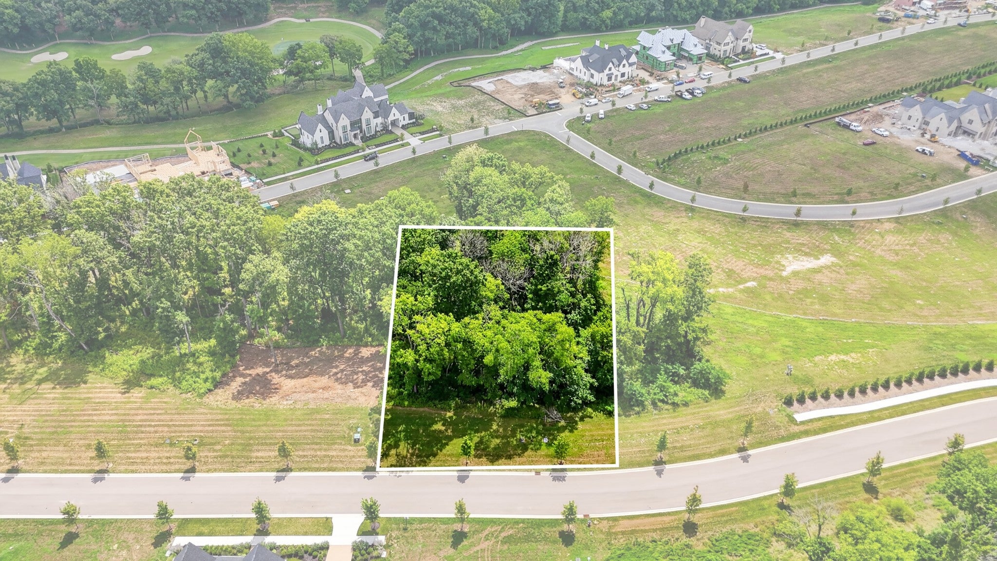 8514 Blanton Ct, College Grove TN 37046 0-bed lot, photo 3 of 48