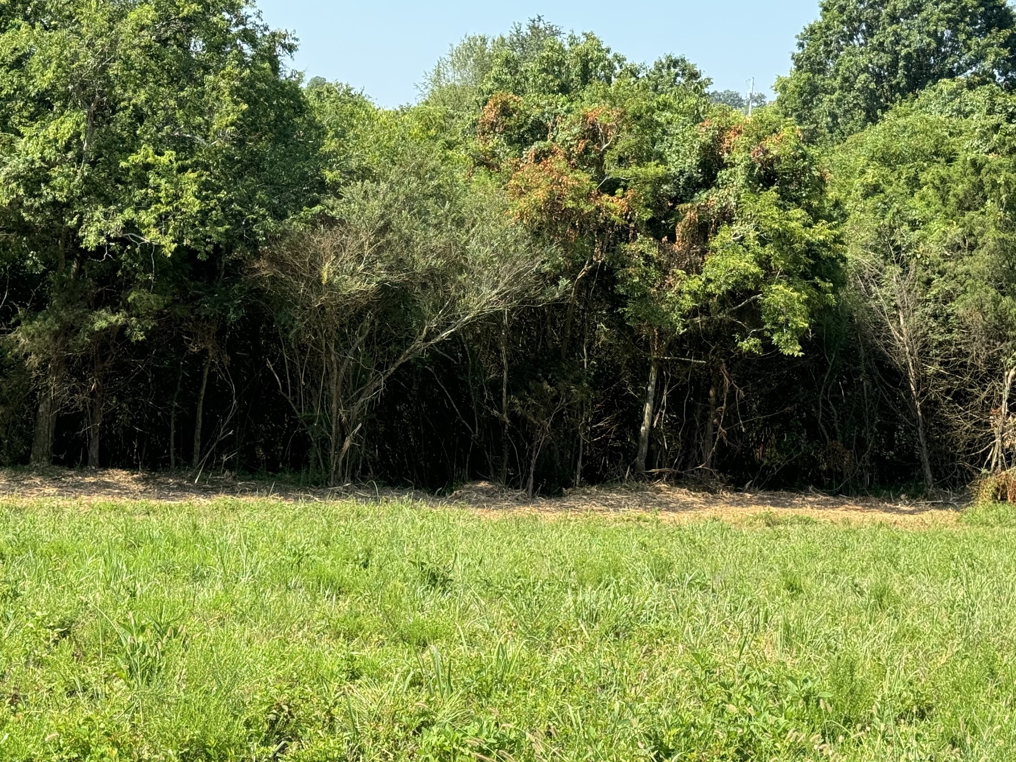 0 Old Hwy 25 Tract #1