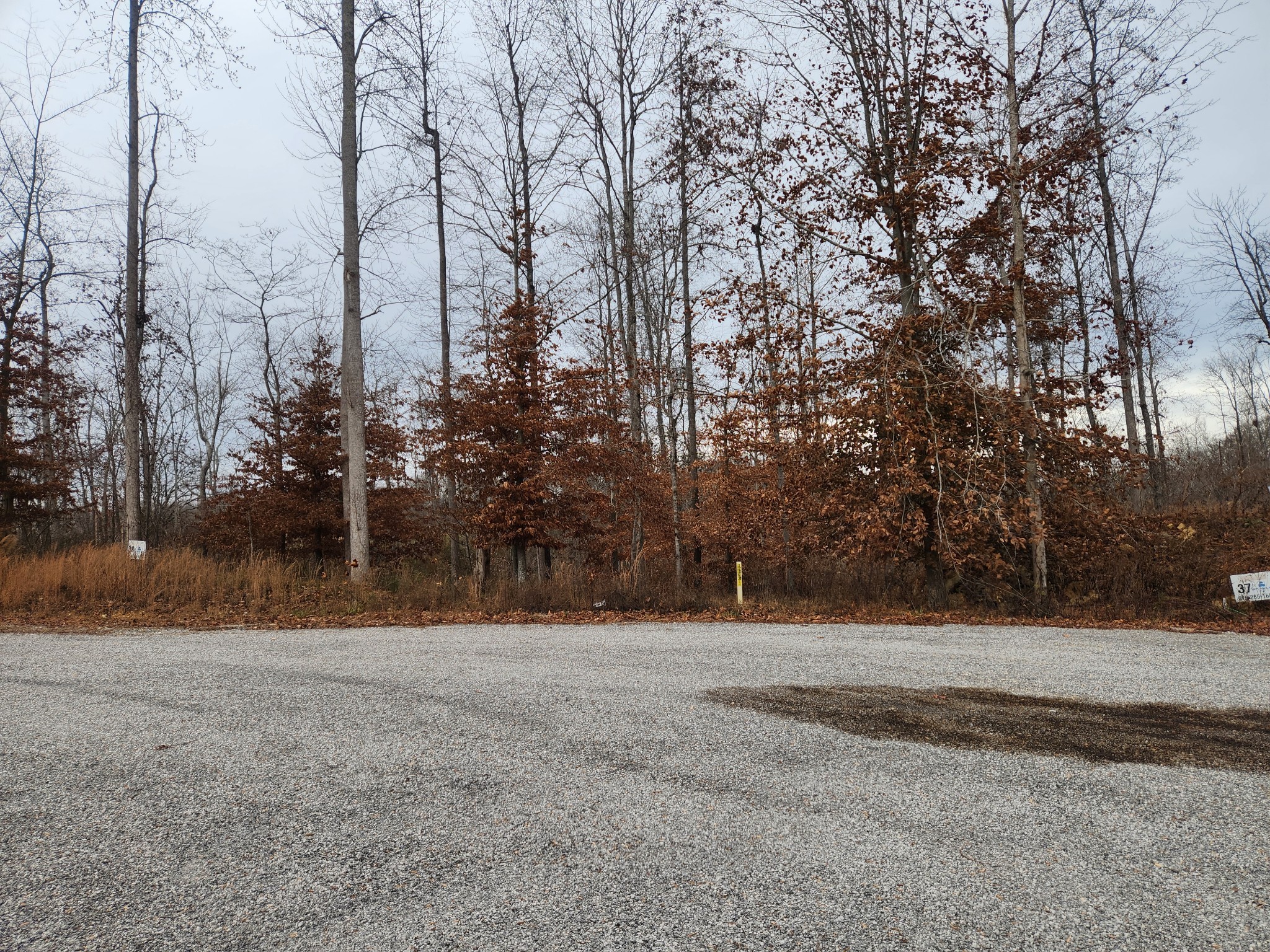 0 S Peninsula Edge Dr