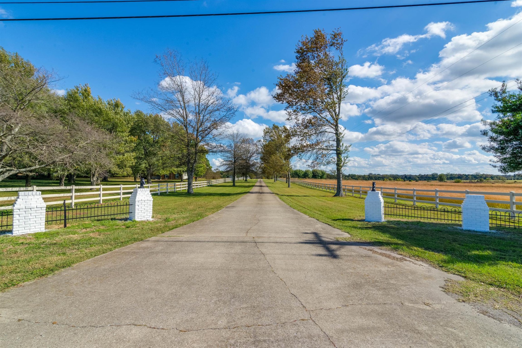 3124 Highway 231 North N