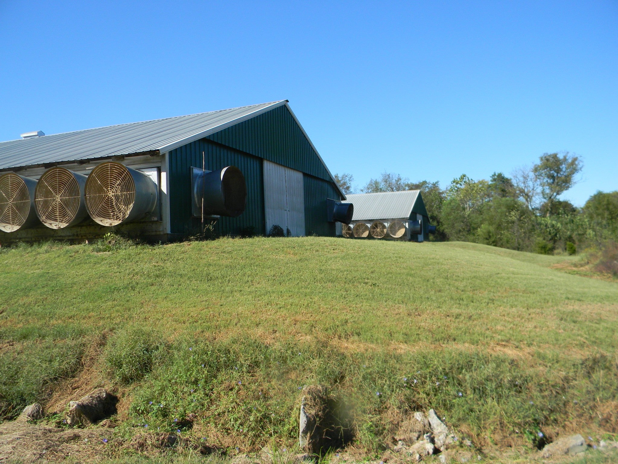 3328 Sims Rd