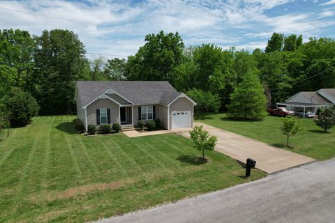 215 Desperado Ave Pulaski TN 38478