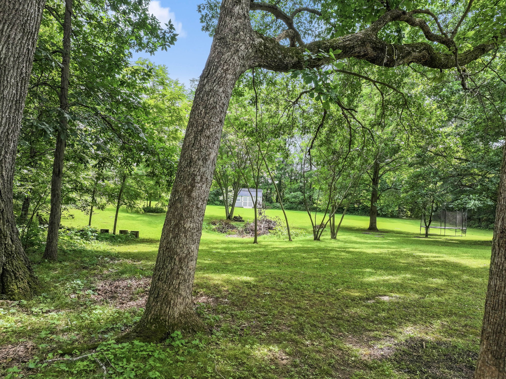 3309 Long Shadow Ct