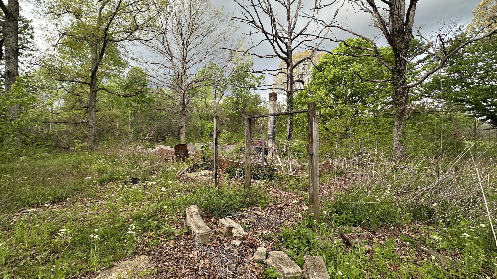 556 Lee Hargis Road