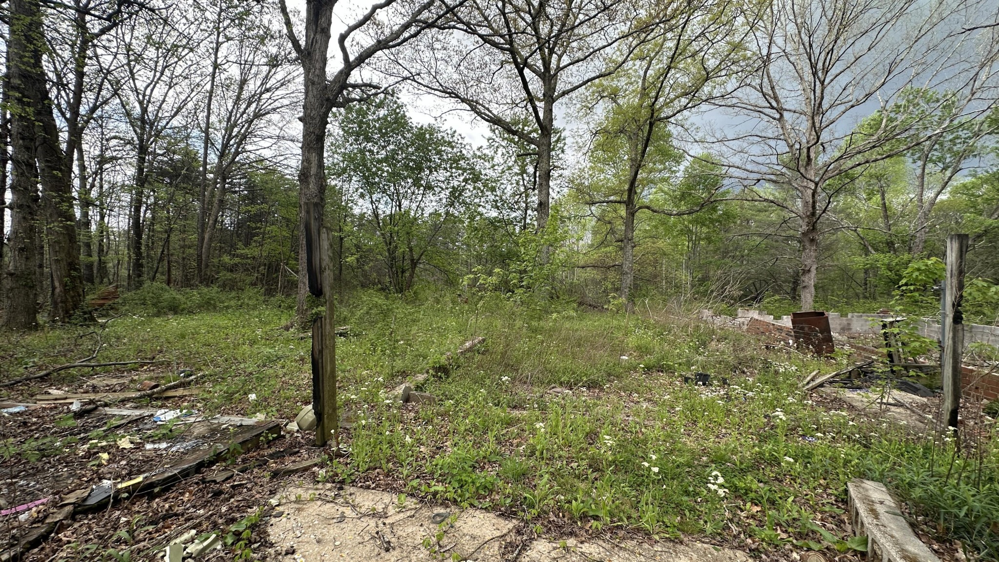 556 Lee Hargis Road