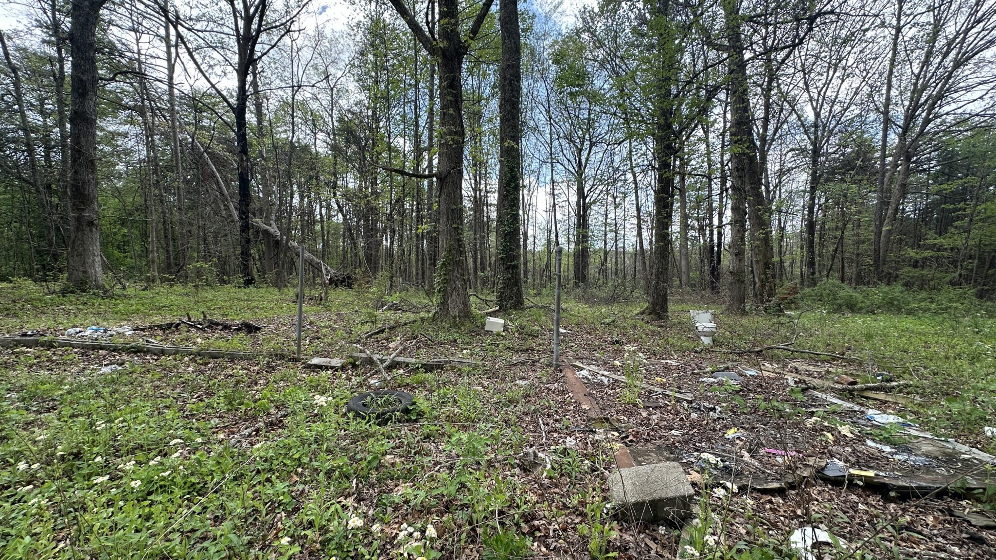 556 Lee Hargis Road