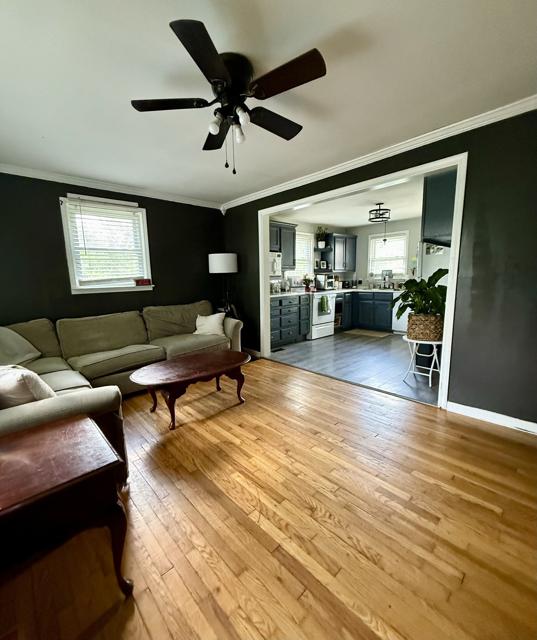 449 Halls Mill Rd