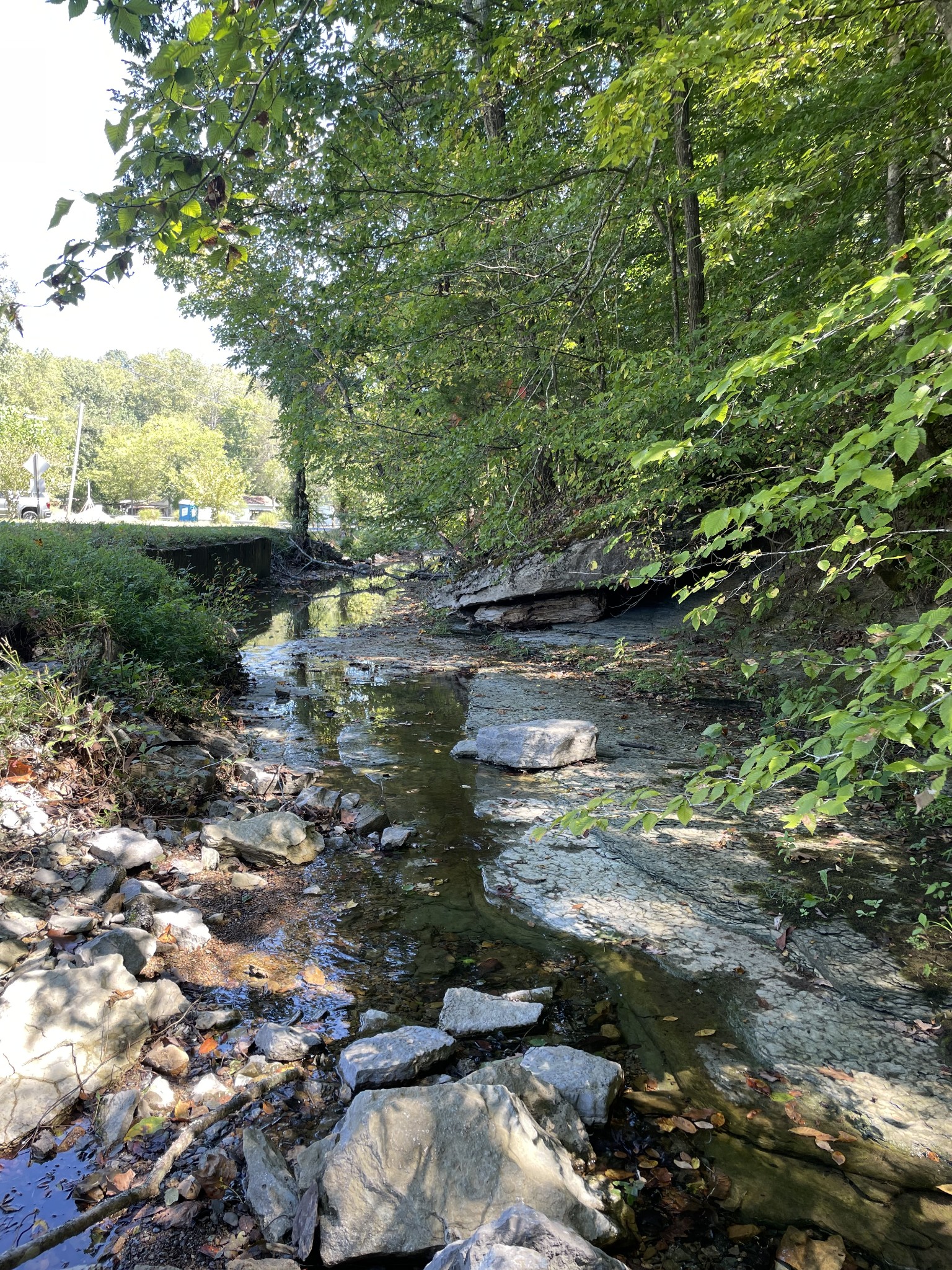 740 Hogans Branch Rd