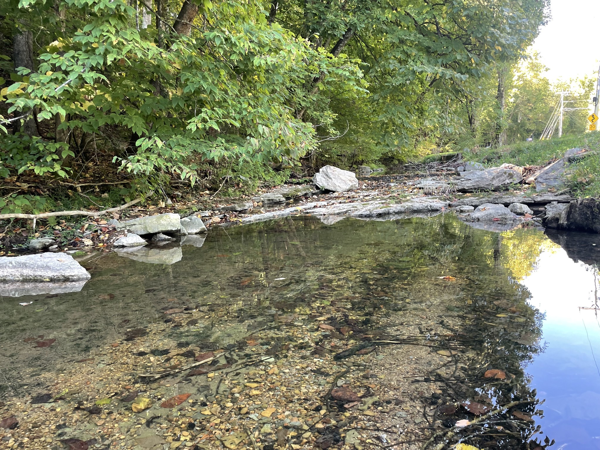 740 Hogans Branch Rd