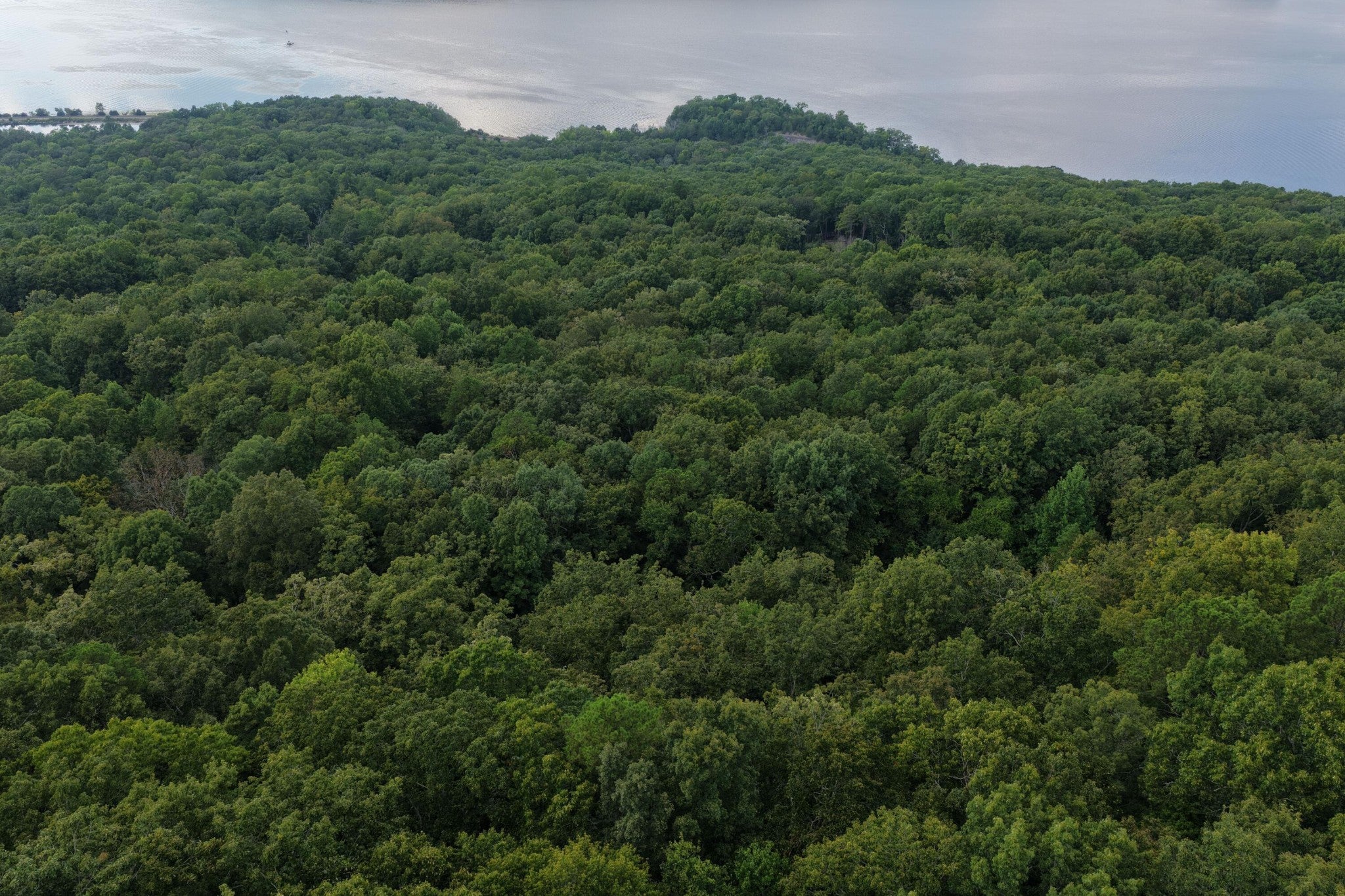 1 Bluff Road