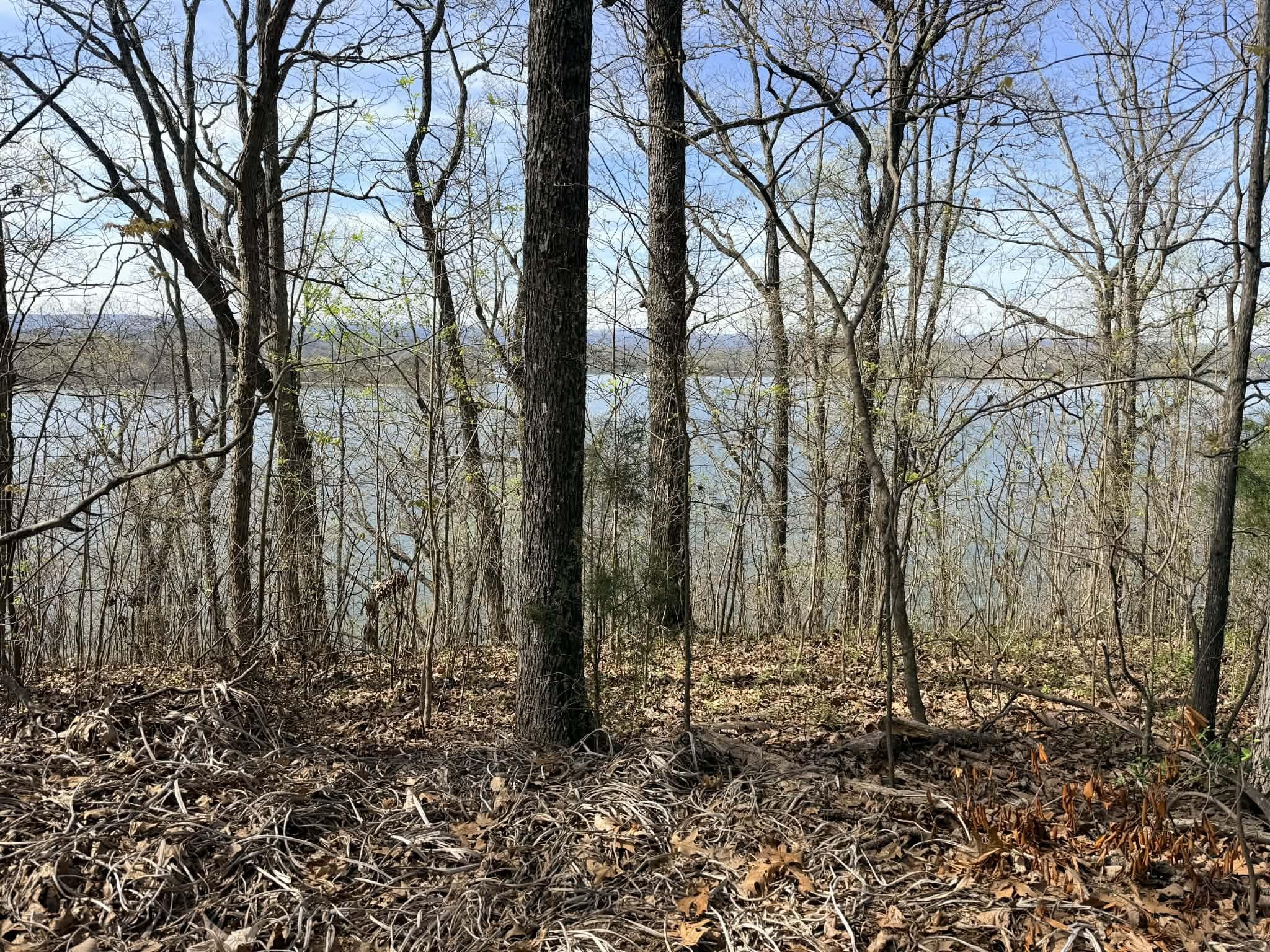 Photo 1 of 7 — 8 Johnson Lane, Ten Mile, TN 37880