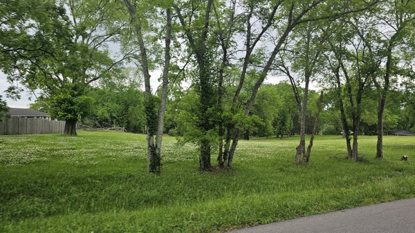 198 CRANWILL DR, HENDERSONVILLE, TN 37075 - Image cc475c9d2b01b4c9aa3d5850041ee628/72693598