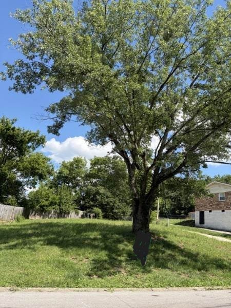 listing at 504 Combs Ter, Nashville