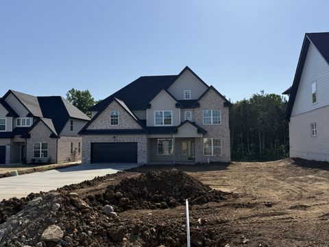 Photo of 6012 Northern Oak Chase Dr, Smyrna, TN 37167 (MLS # 3183420)