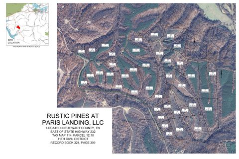 0 Highway 232 Dover TN 37058