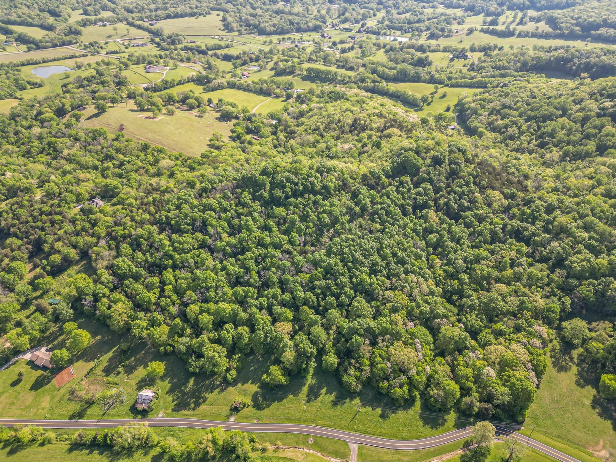 4481 Dyke Bennett Rd, Franklin TN 37064 0-bed lot, photo 13 of 24