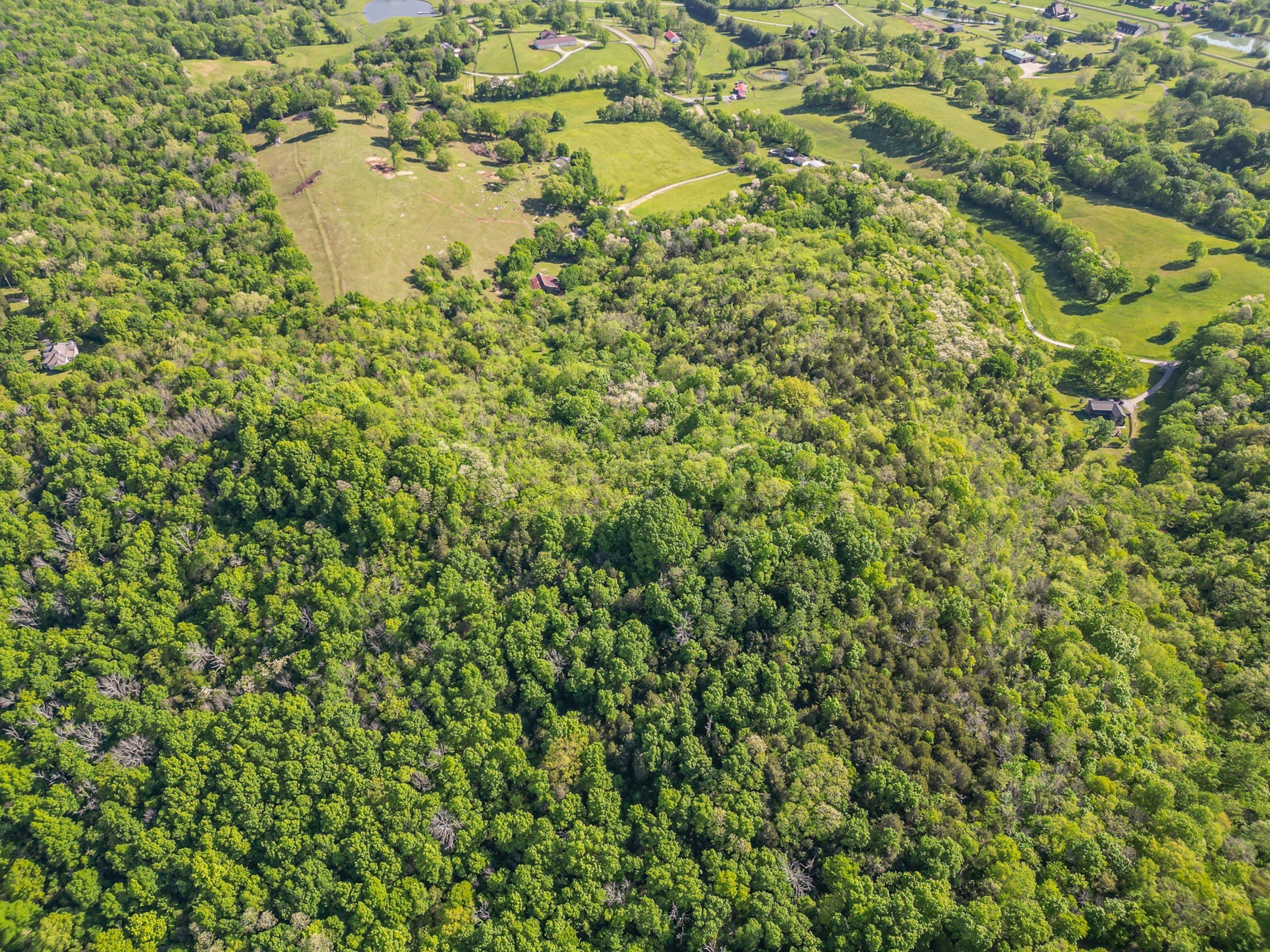 4481 Dyke Bennett Rd, Franklin TN 37064 0-bed lot, photo 14 of 24