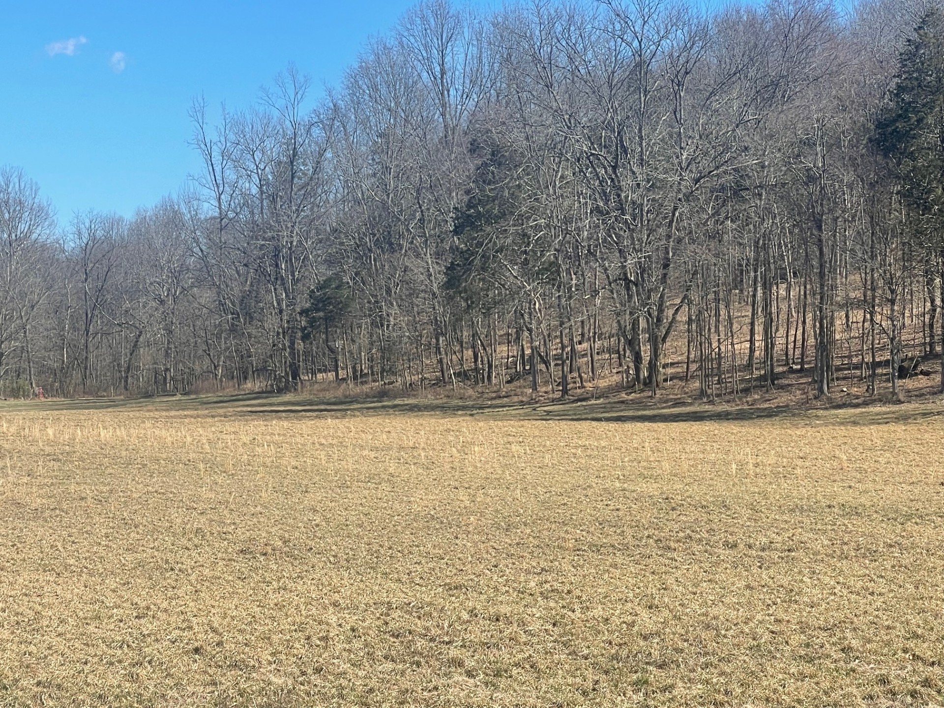 1 Old Clarksville Pike