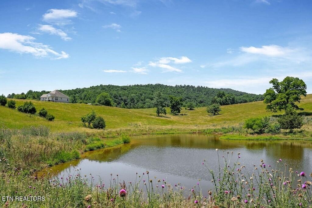 464 Wilder Hwy 76 Ac