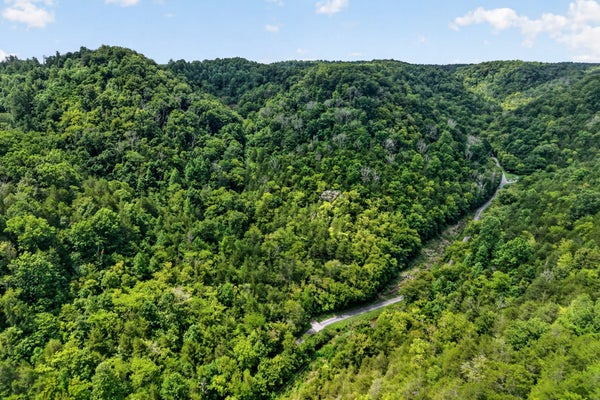 TURKEY BRANCH RD, LIBERTY, TN 37095 - Image ccadc6b013edd625e964b1e7dcfc8a80/262964853