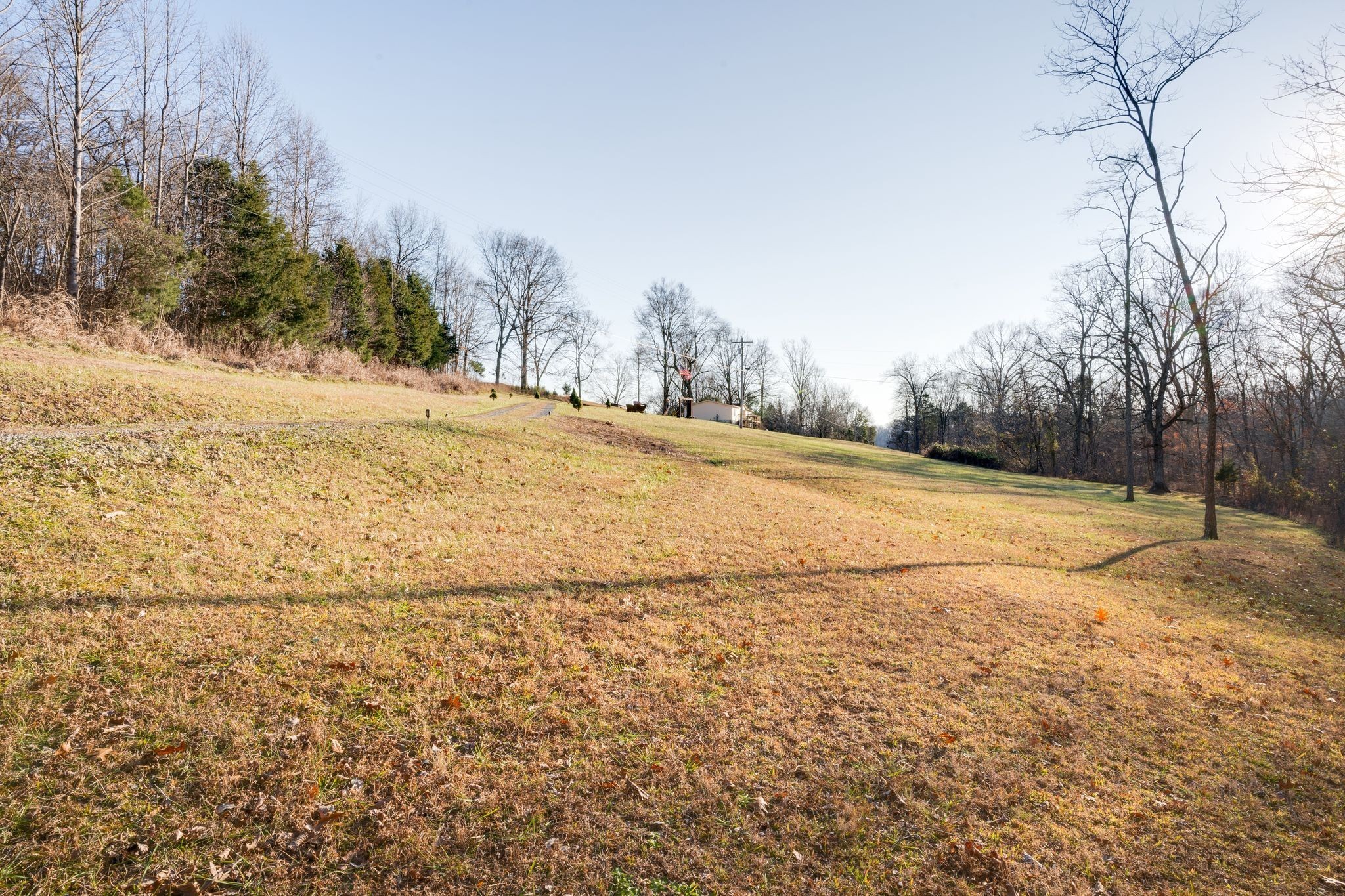 818 Rogues Fork Rd