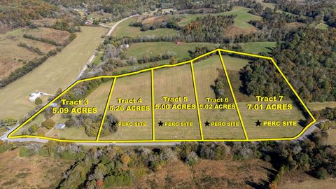 53 Pleasant Hill Rd Lynchburg TN 37352