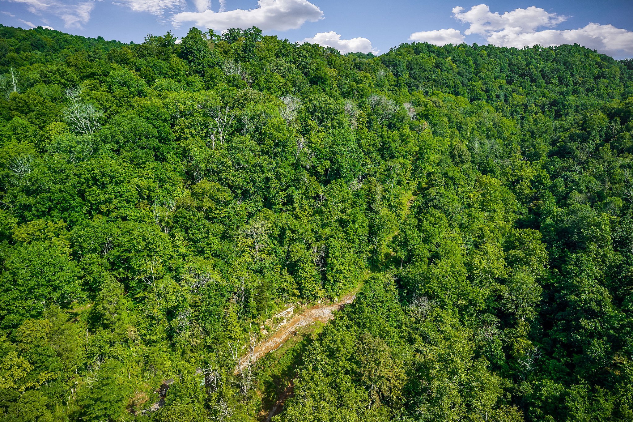 392 Possum Hollow Rd