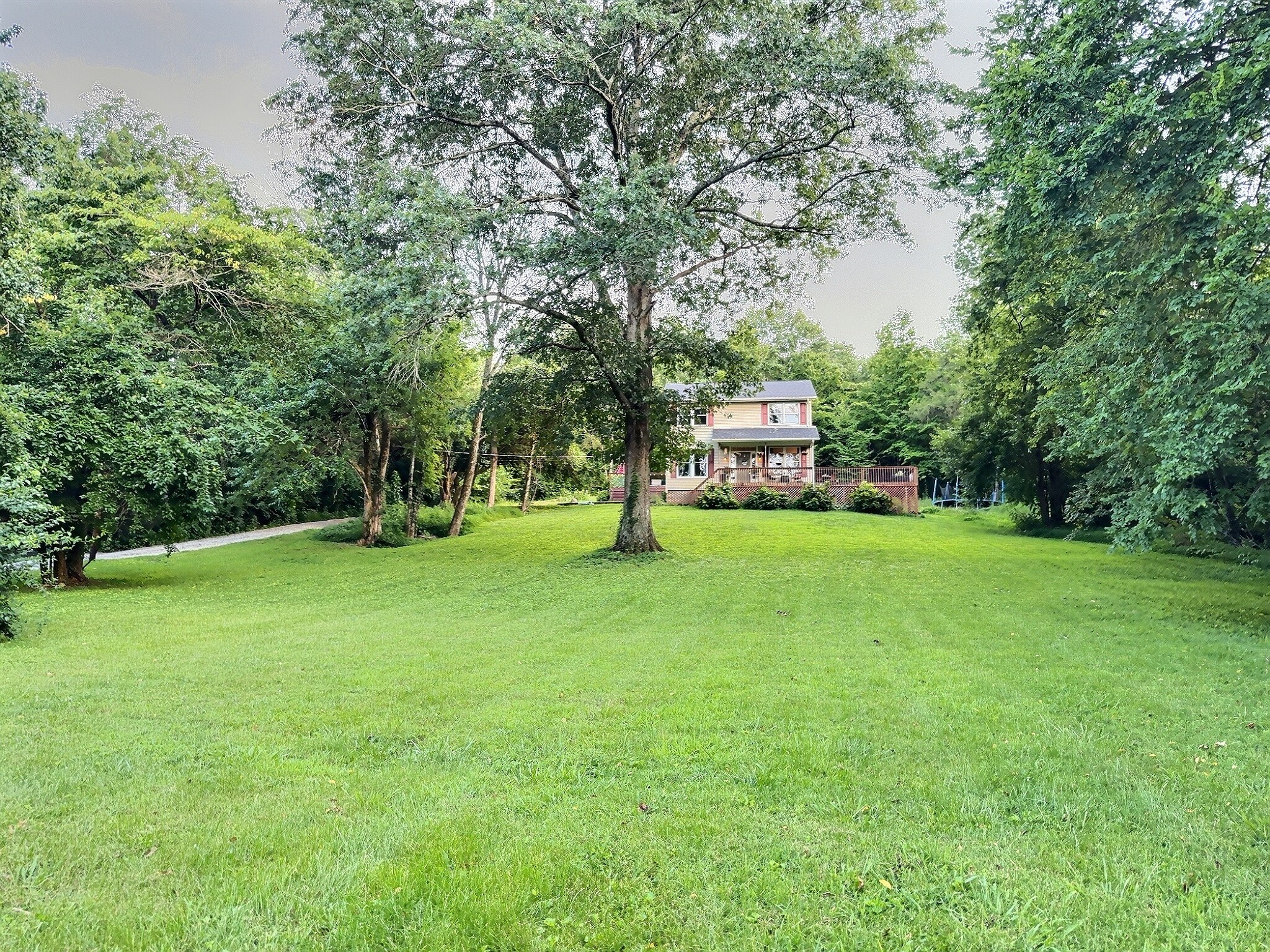 4417 Jackson Hollow Rd