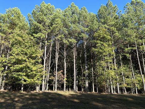 2035 Crockett Point Jasper TN 37347